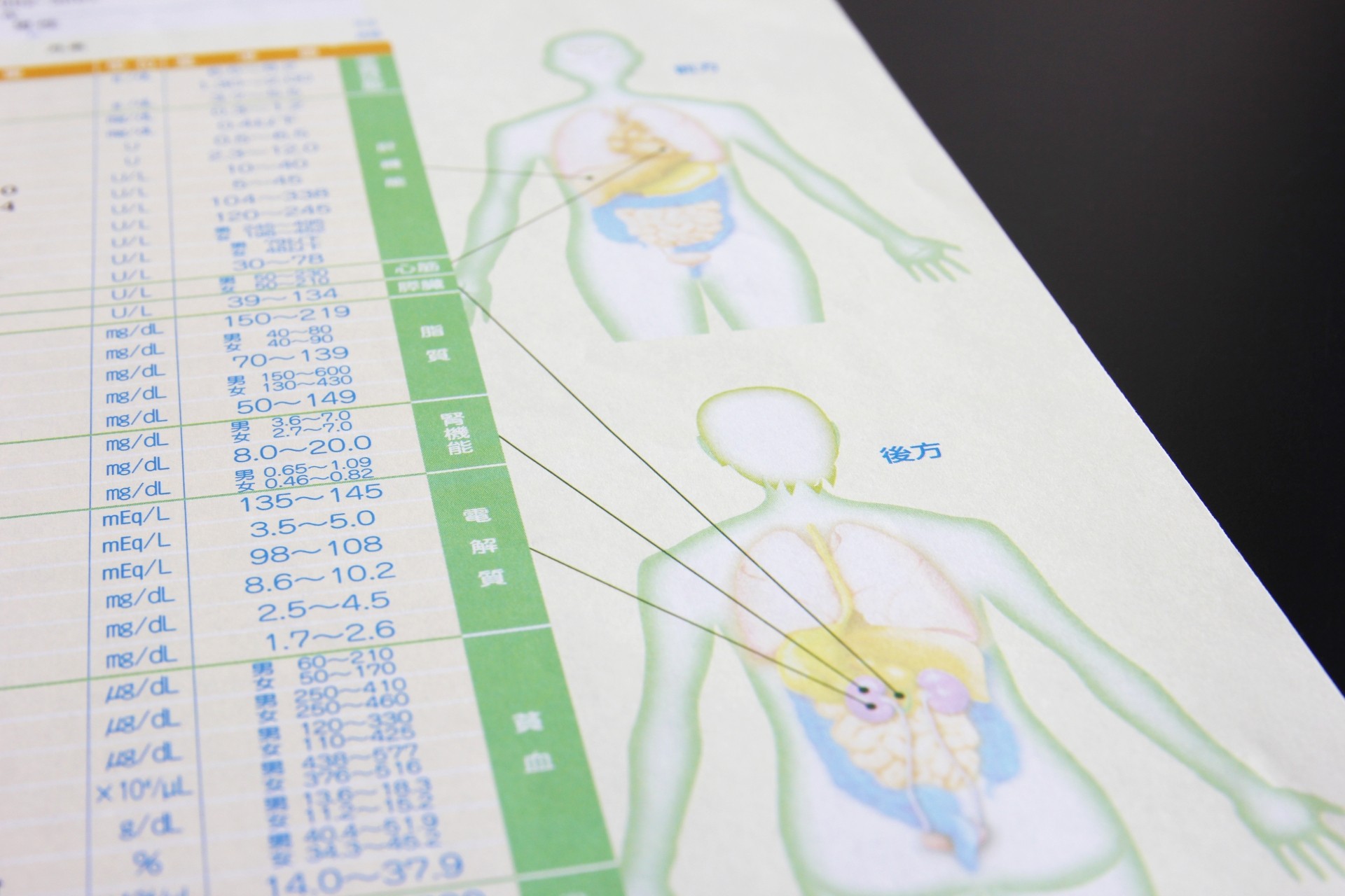 実は恐ろしいぽっこりお腹！あなたの命が危ない･･･