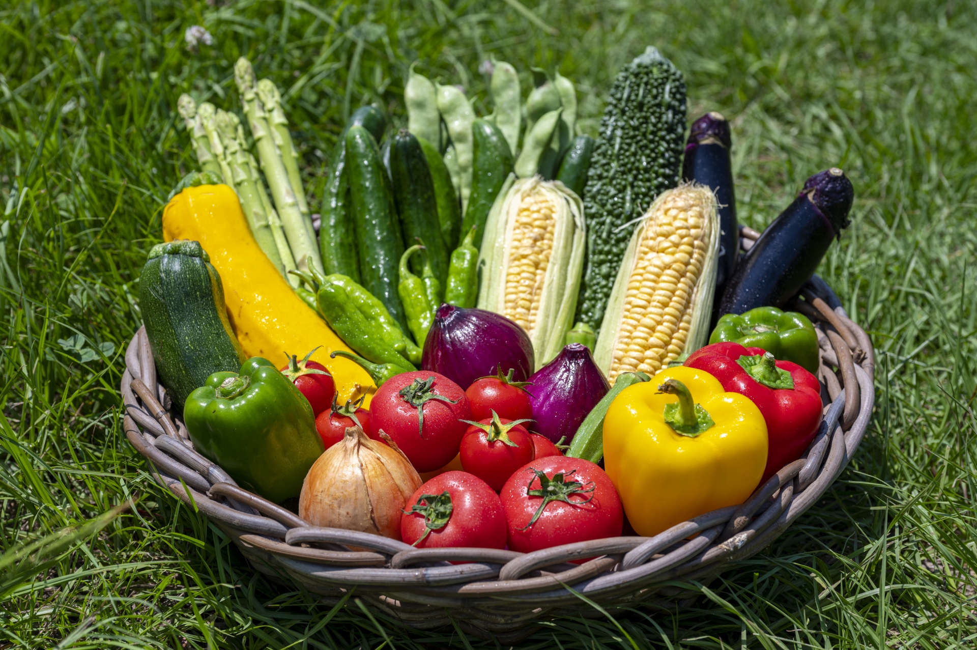 夏は野菜で栄養補給